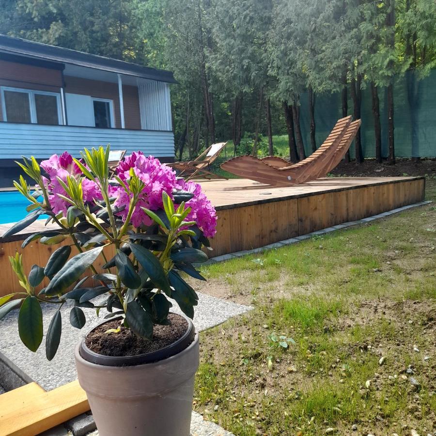 סנט קנזיאן Bungalows Sonnenblume Am Klopeiner See מראה חיצוני תמונה